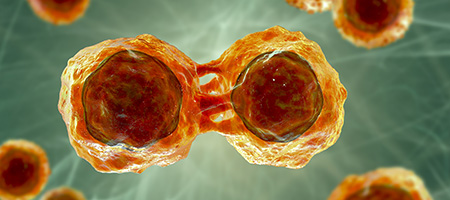Myeloma Timeline Image